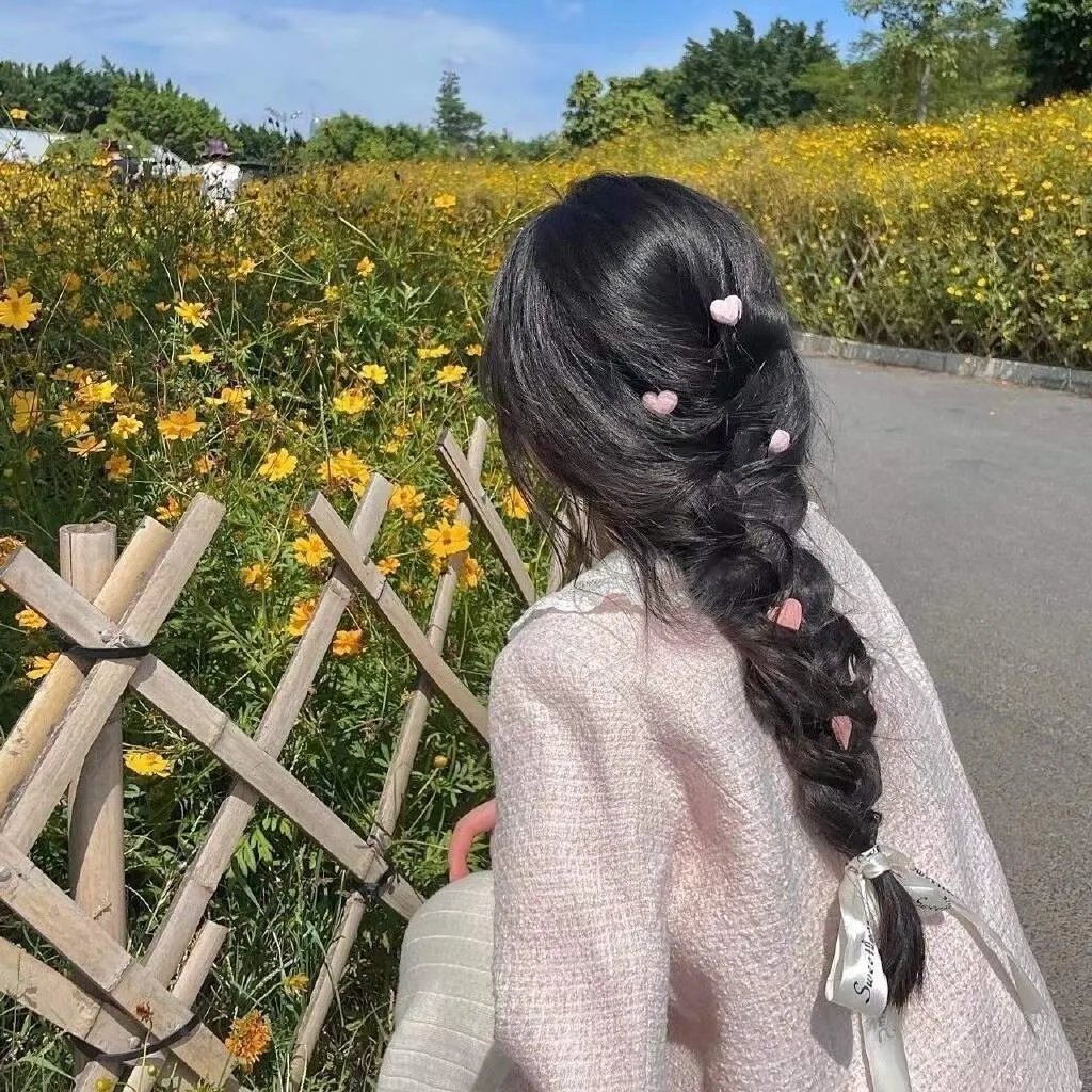 神犬小七第二季